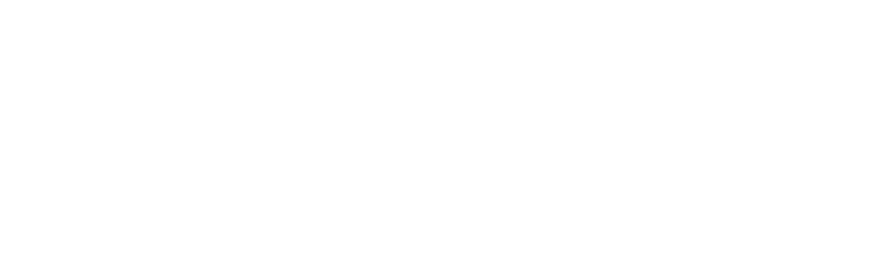 ZOITECH Demo